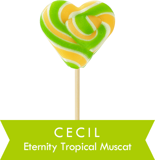 CECIL Eternity Tropical Muscat