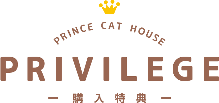 PRIVILEGE -購入特典-