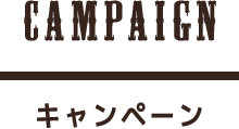 CAMPAIGN