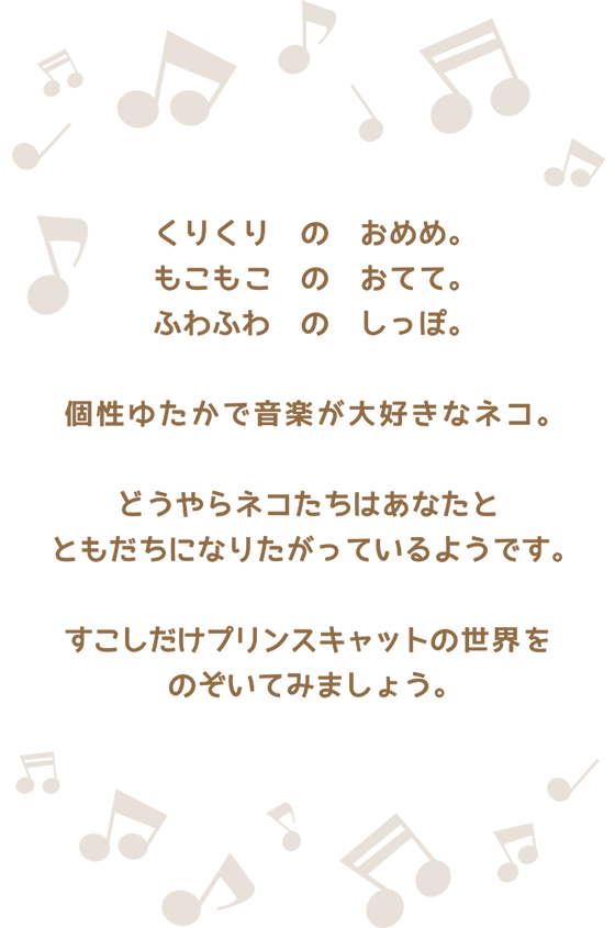 くりくり　の　おめめ。もこもこ　の　おてて。ふわふわ　の　しっぽ。個性ゆたかで音楽がだいすきなネコ。どうやらネコたちはあなたとともだちになりたがっているようです。すこしだけプリンスキャットの世界をのぞいてみましょう。