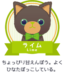 ライム|ちょっぴり甘えんぼう。よくひなたぼっこしている。