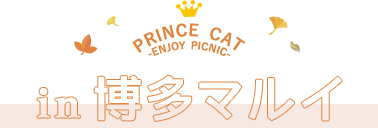 PRINCE CAT -ENJOY PICNIC- in博多マルイ