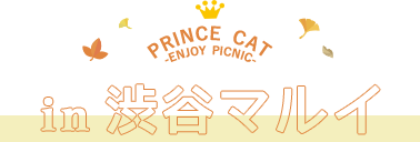 PRINCE CAT -ENJOY PICNIC- in渋谷マルイ