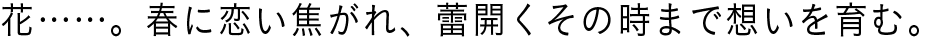 花……。春に恋い焦がれ、蕾開くその時まで想いを育む。