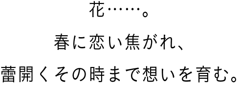 花……。春に恋い焦がれ、蕾開くその時まで想いを育む。