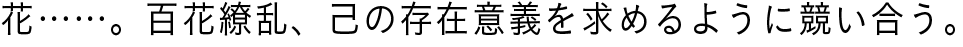 花……。百花繚乱、己の存在意義を求めるように競い合う。