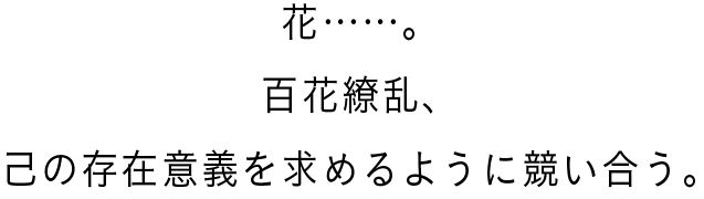 花……。百花繚乱、己の存在意義を求めるように競い合う。