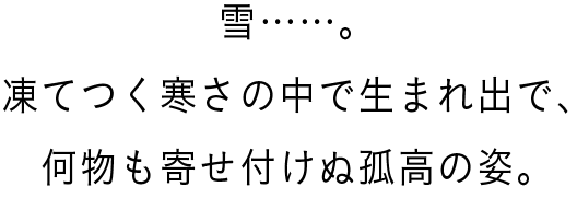 雪……。凍てつく寒さの中で生まれ出で、何物も寄せ付けぬ孤高の姿。