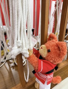 うまくひけた?